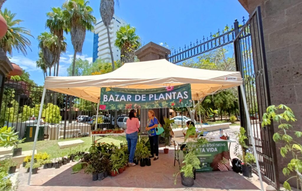 Bazar de plantas en jardín Botánico Benjamin Francis Johnston en Los Mochis./ Foto: Jessi Jáuregui