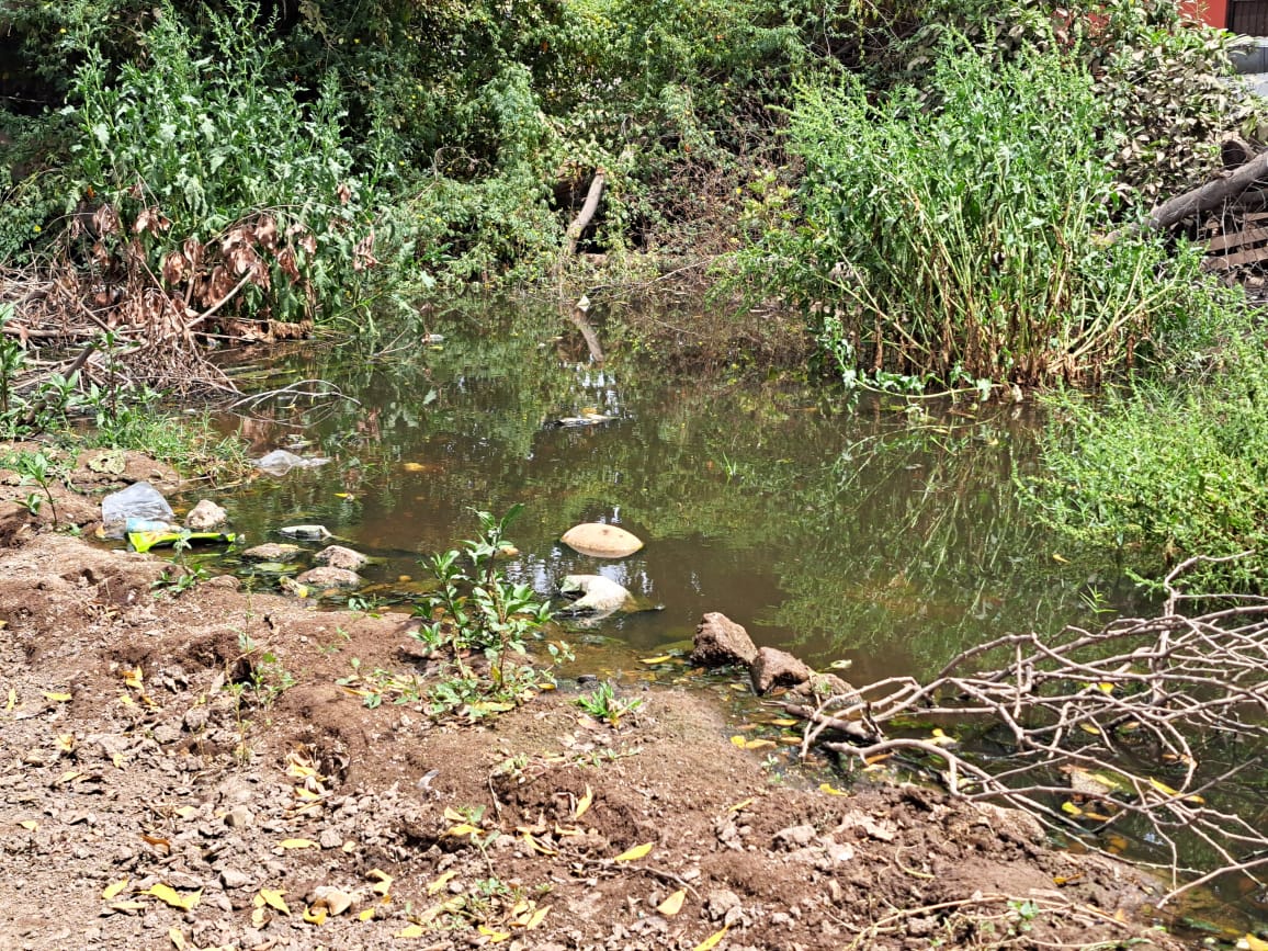 Derrame de aguas negras en Guasave.