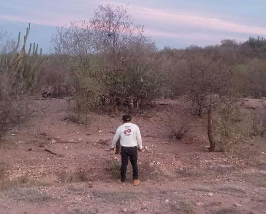 Zona donde fueron hallados los restos humanos en Ahome