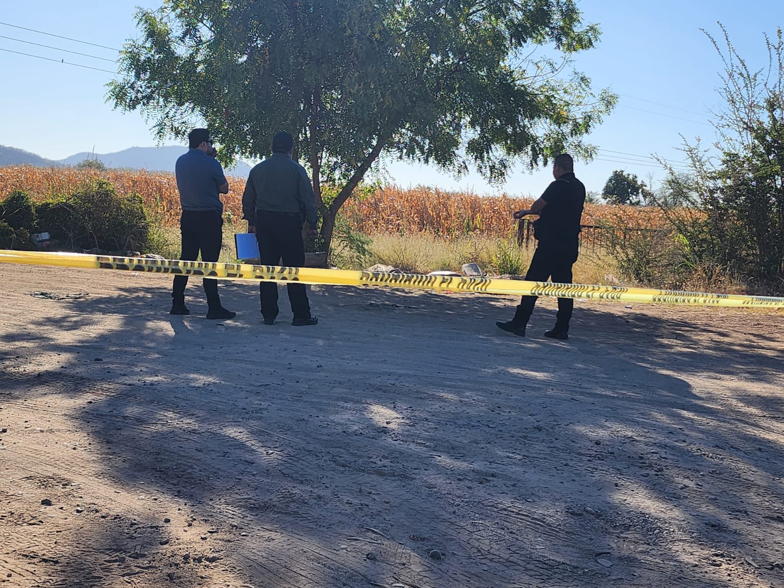 Cinta amarilla en zona donde se lozaliza cadáver