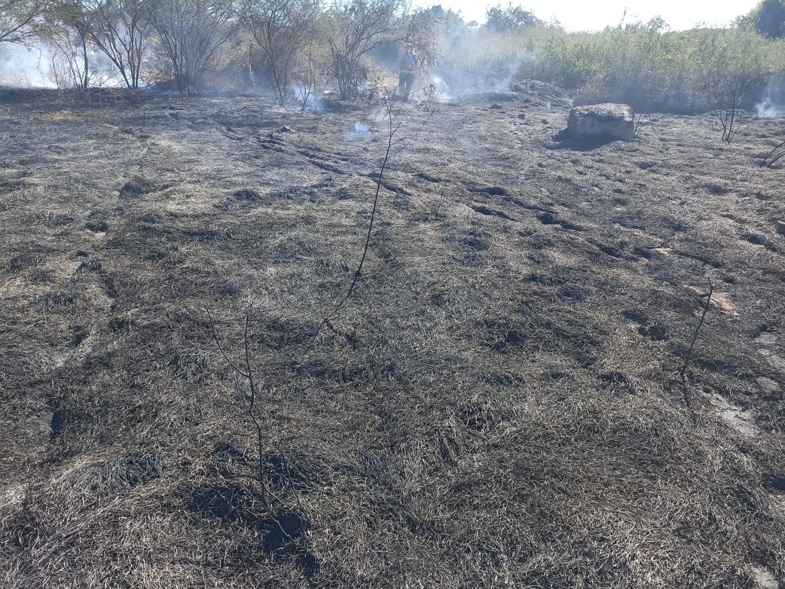 Zona incendiada