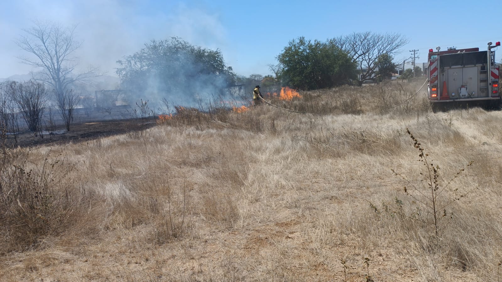 Incendio forestal en Concordia.