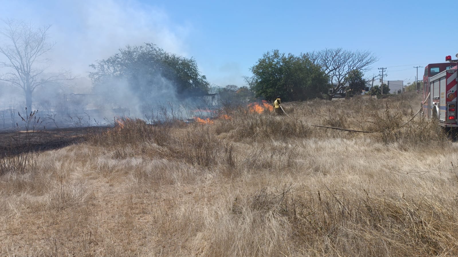 Incendio forestal en Concordia.