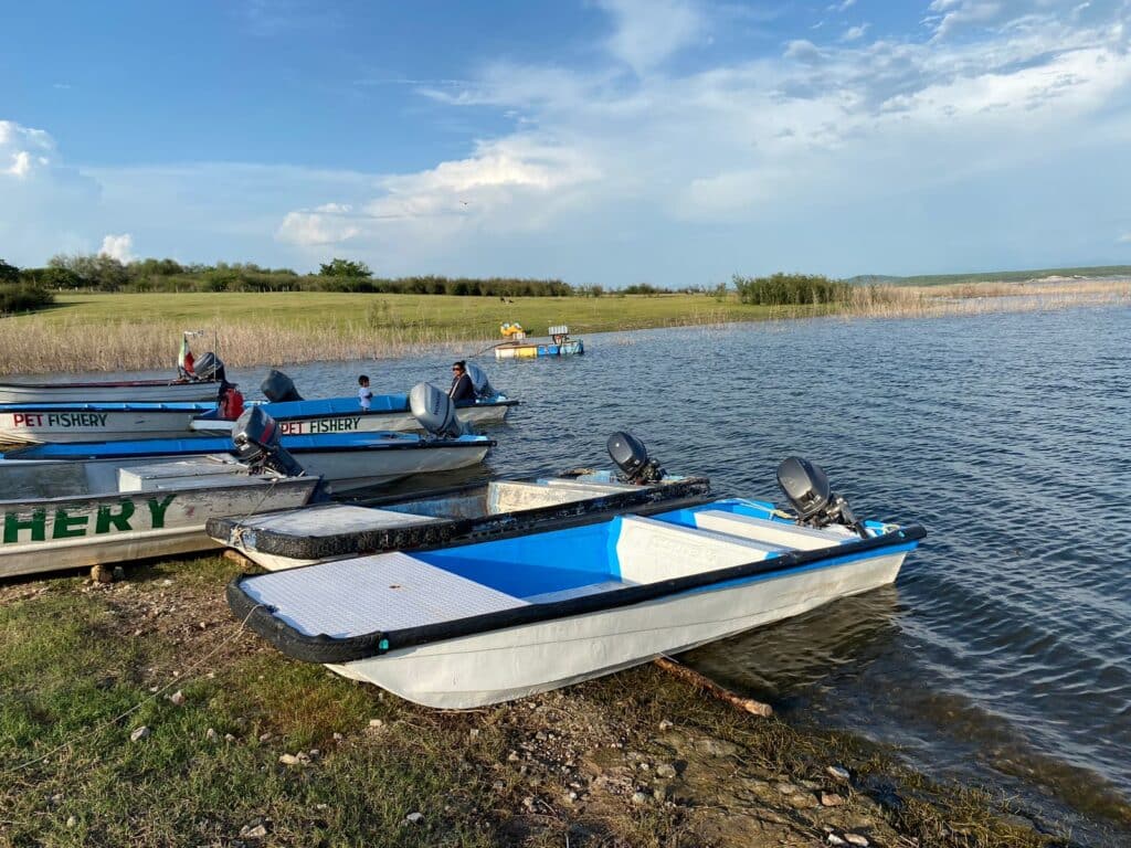 Embarcaciones pesqueras a la orilla de lago