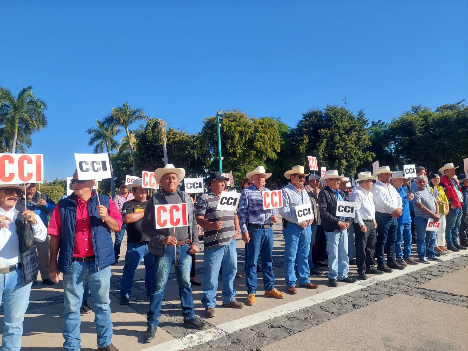 Productores de diferentes municipios de Sinaloa en manifestación