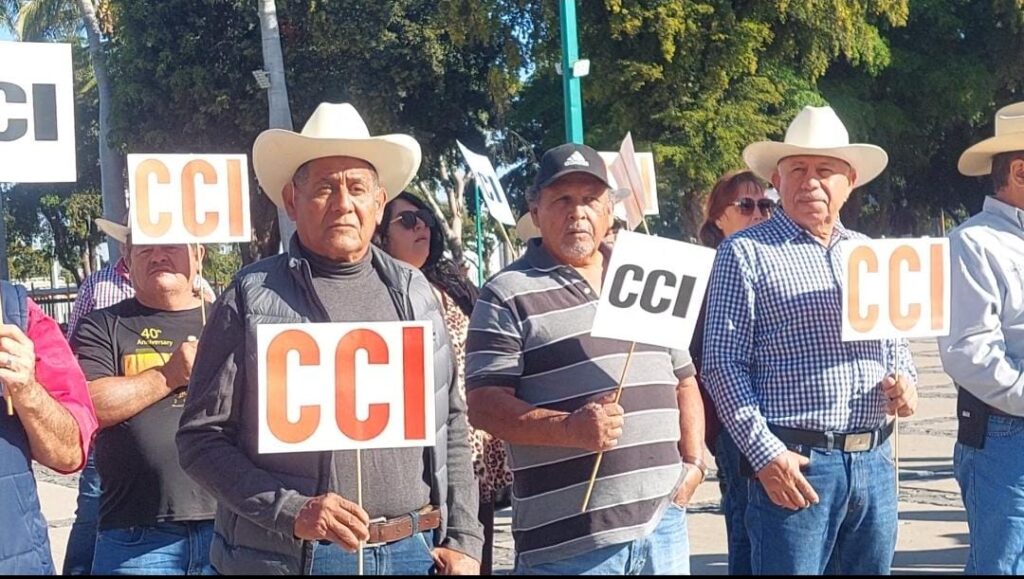 Productores de diferentes municipios de Sinaloa en manifestación