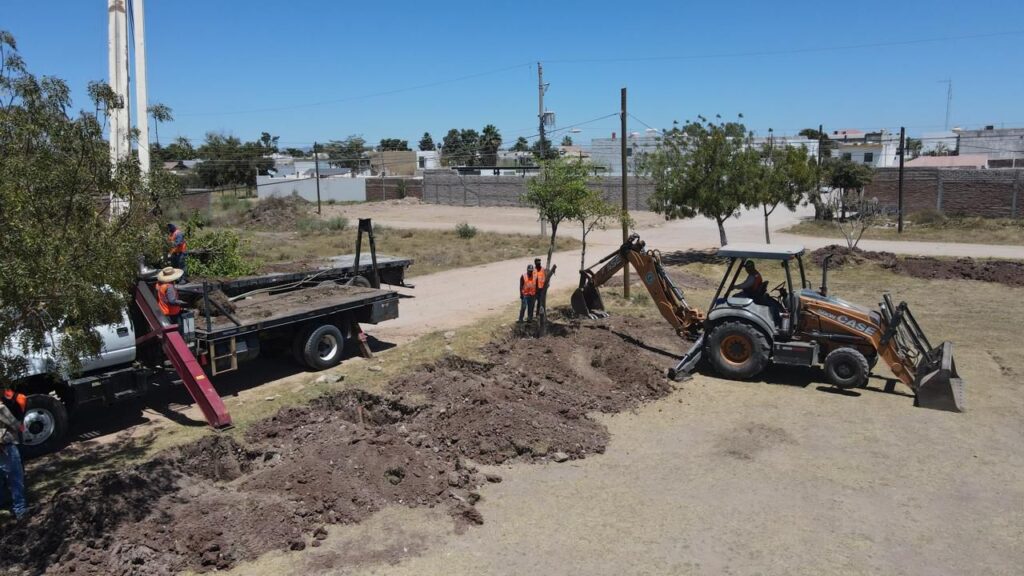 Plantación de árboles en espacios deportivos de Los Mochis