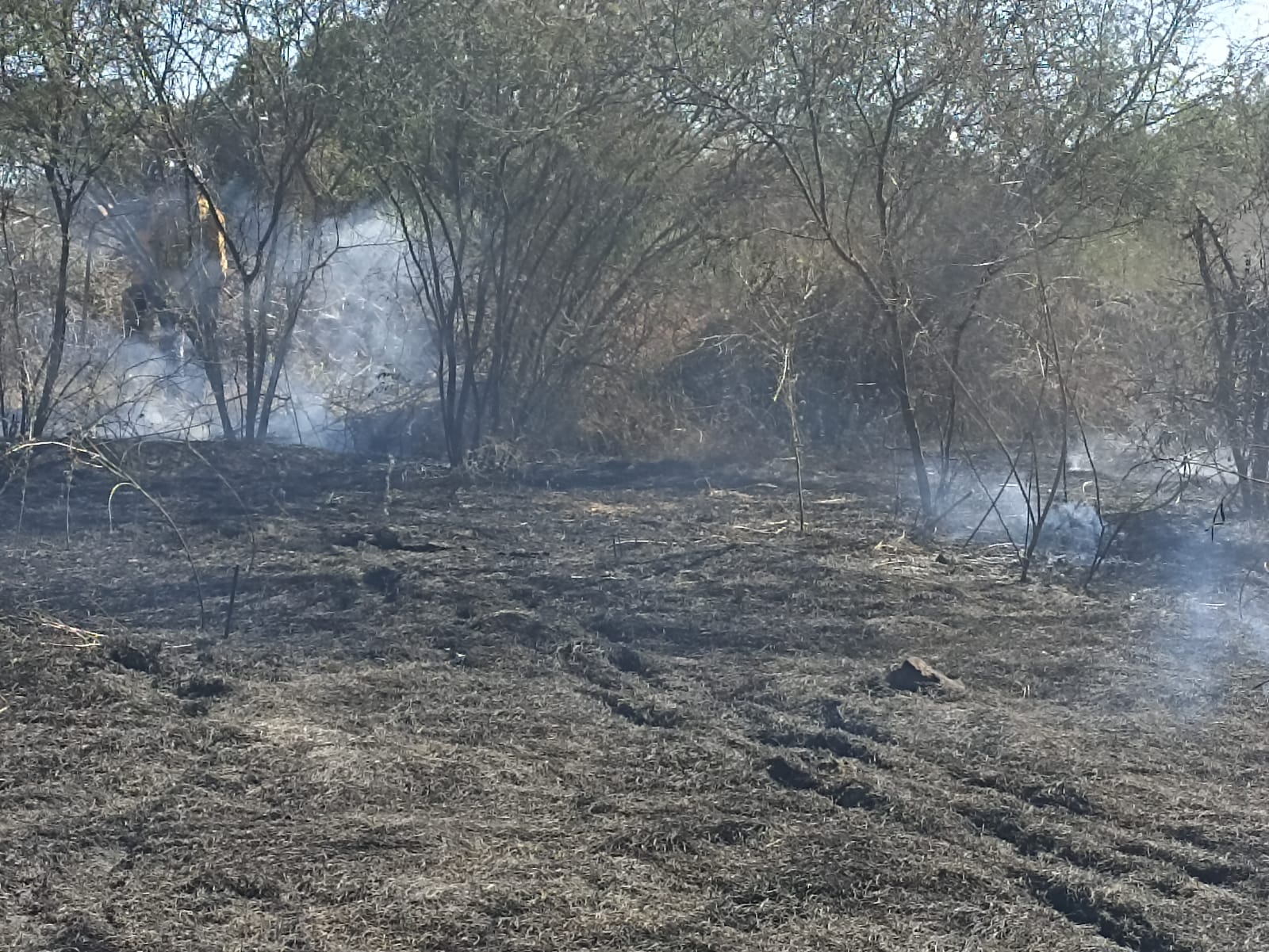 Zona incendiada