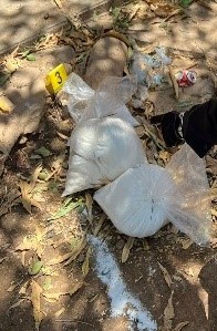 Droga, vehículos y sustancias ilícitas fue lo que se aseguró en la sindicatura de Sanalona