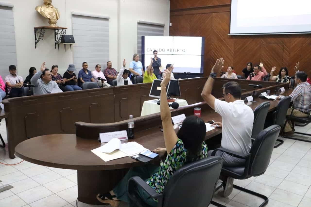 Sesión del Cabildo Abierto número 15
