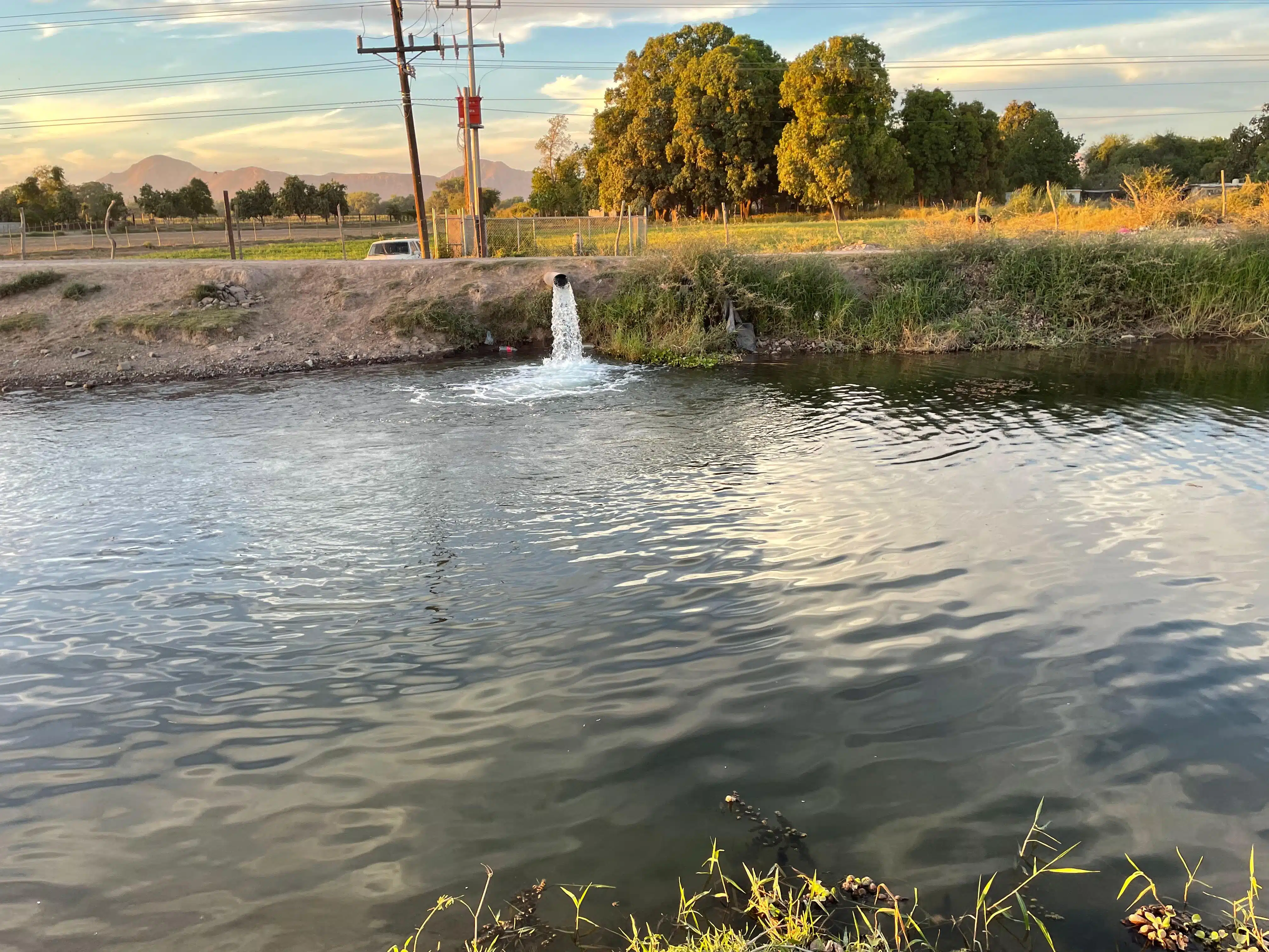 Canal Sicae donde se rescata agua de los pozos por el módulo de riego Pascola en la Villa de Ahome.