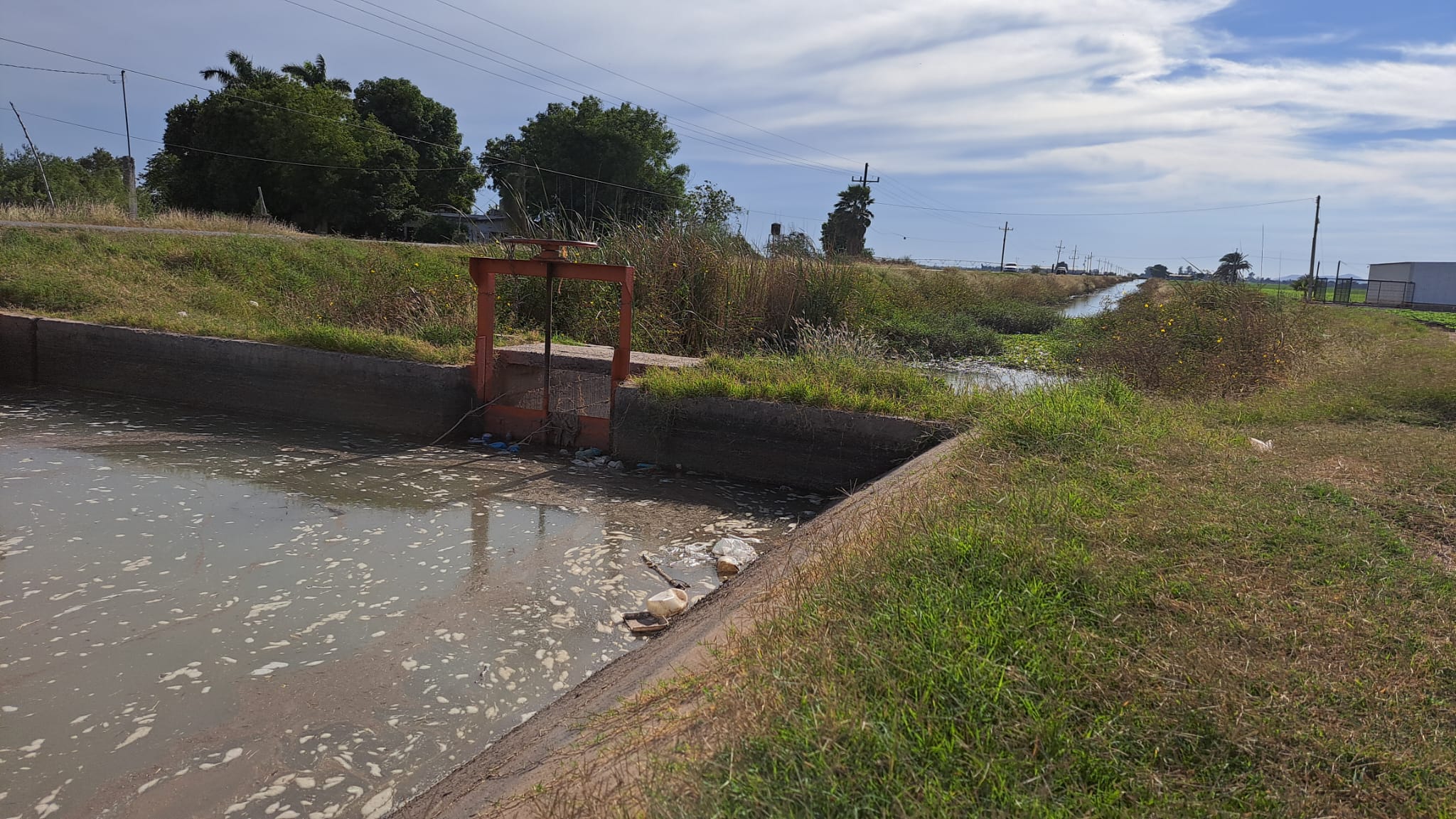 El secretario de Agricultura y Ganadería del Gobierno del Estado, declaró que no hay ningun reporte de robo de agua en canales