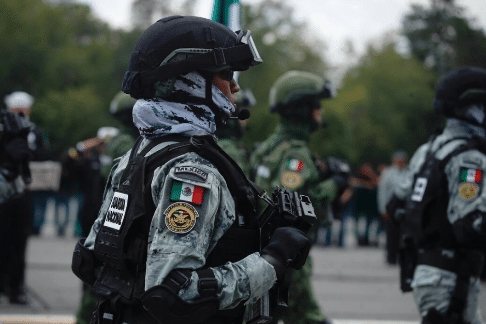 Elementos de las Fuerzas Armadas