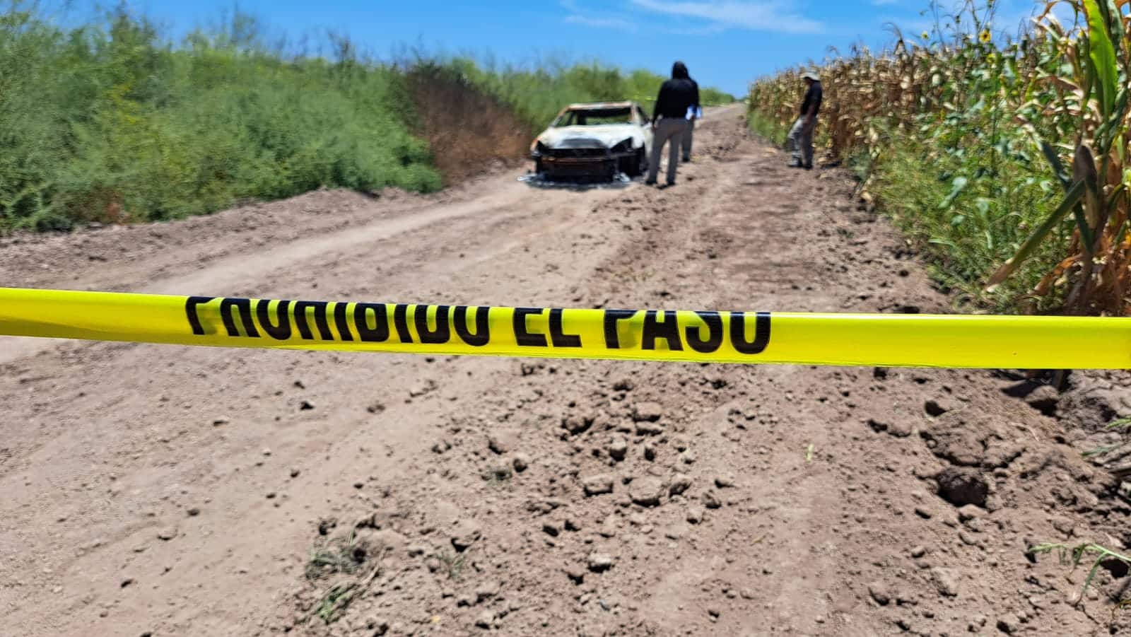 Policiaca Sinaloa