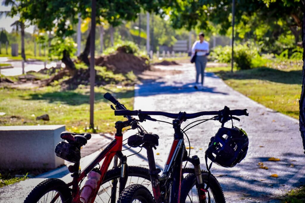 Bicicletas parqueadas en la sombra, en la ciclovía