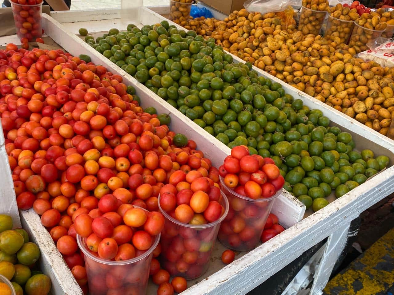 Ciruelas rojas, verdes y manguitos en Mazatlán