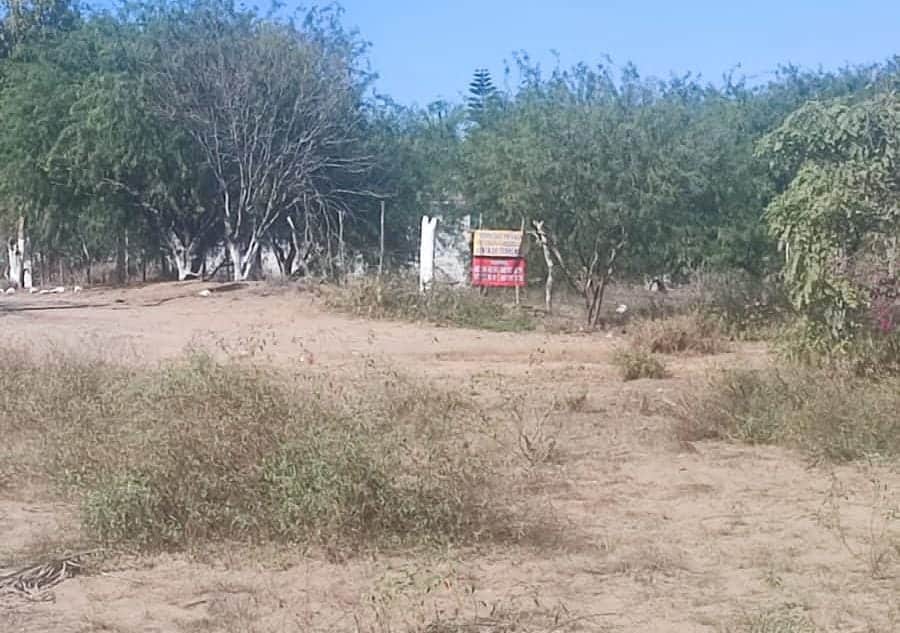 Terrenos del Club Náutico Guasave