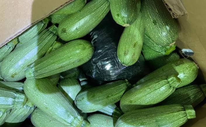 Decomisan metanfetaminas escondidas en un camión de calabazas en Tijuana