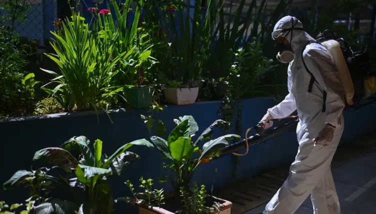 Muertes por dengue en Brasil superan las 2 mil