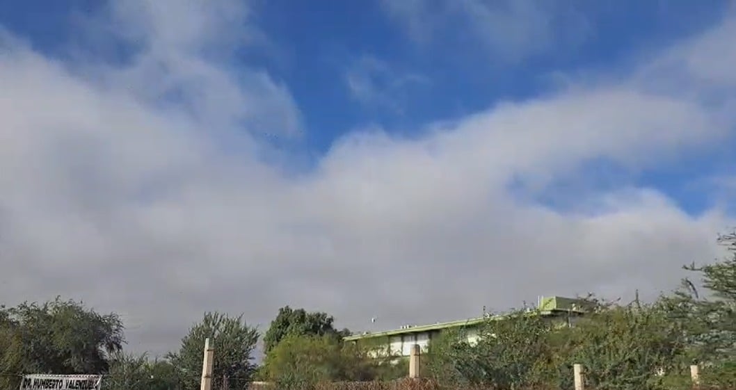 Densa neblina se apoderó del municipio de Guasave