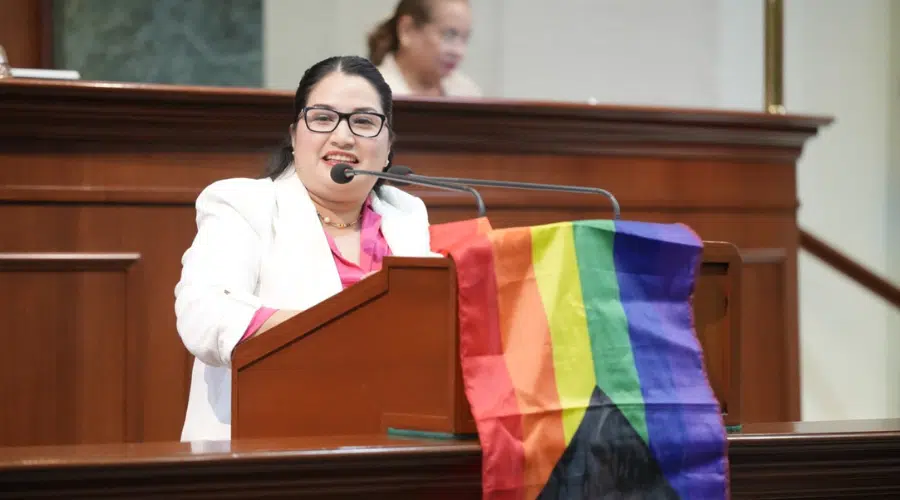 La diputada integrante de la Comisión de Igualdad, Género, Diversidad Sexual e Inclusión, enfatizó que Sinaloa estuvo a la vanguardia en legislar para prohibir las Ecosig.