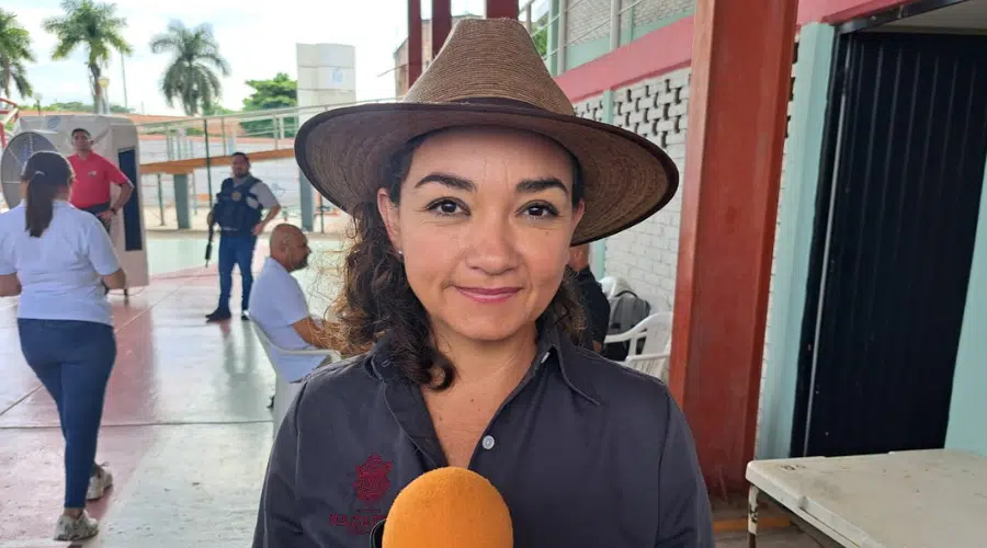 La directora de Ecología de Mazatlán recomienda fomentar la polinización desde casa, con pequeñas y sencillas acciones.