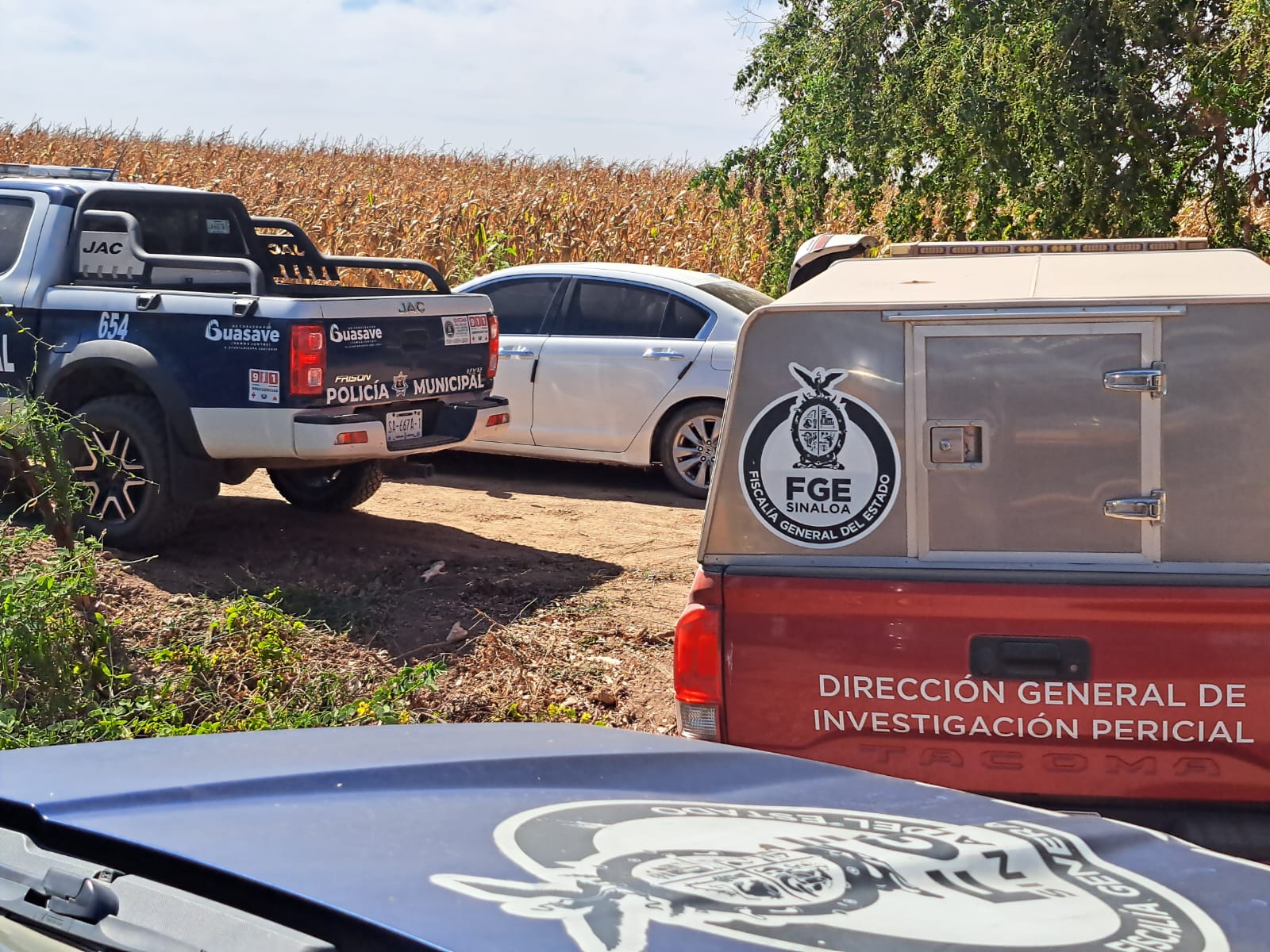 El cuerpo sin vida de Raúl fue localizado en su parcela, en Guasave.