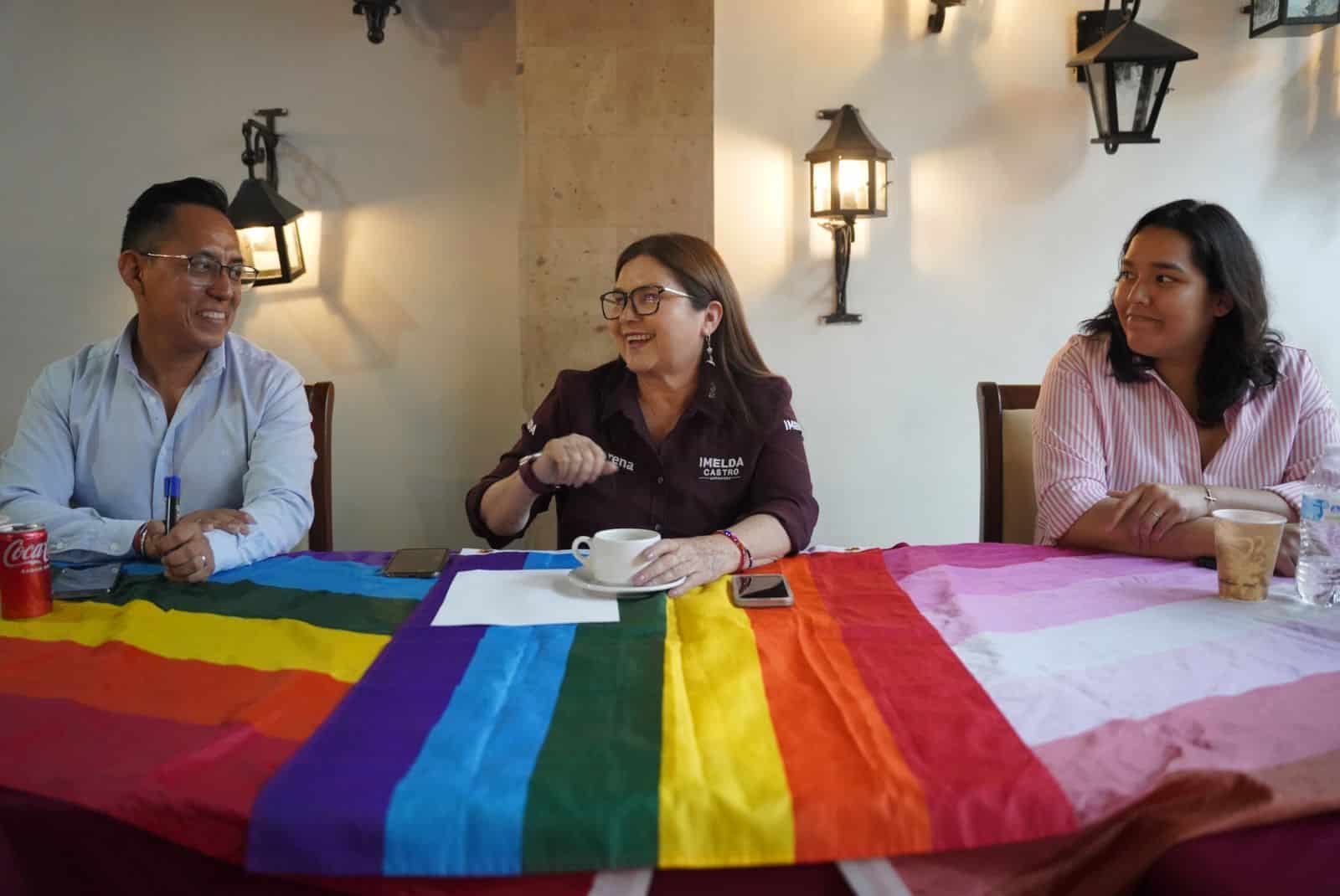 Imelda Castro, candidata al senado por el partido de Morena, durante su campaña