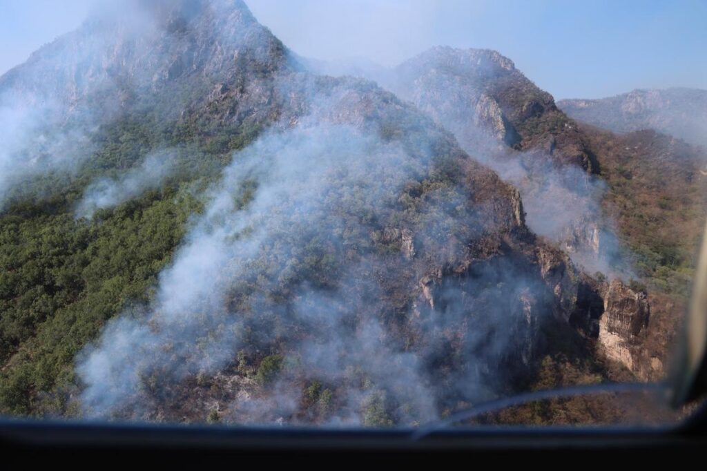 Incendio en la sierra de Tacuichamona