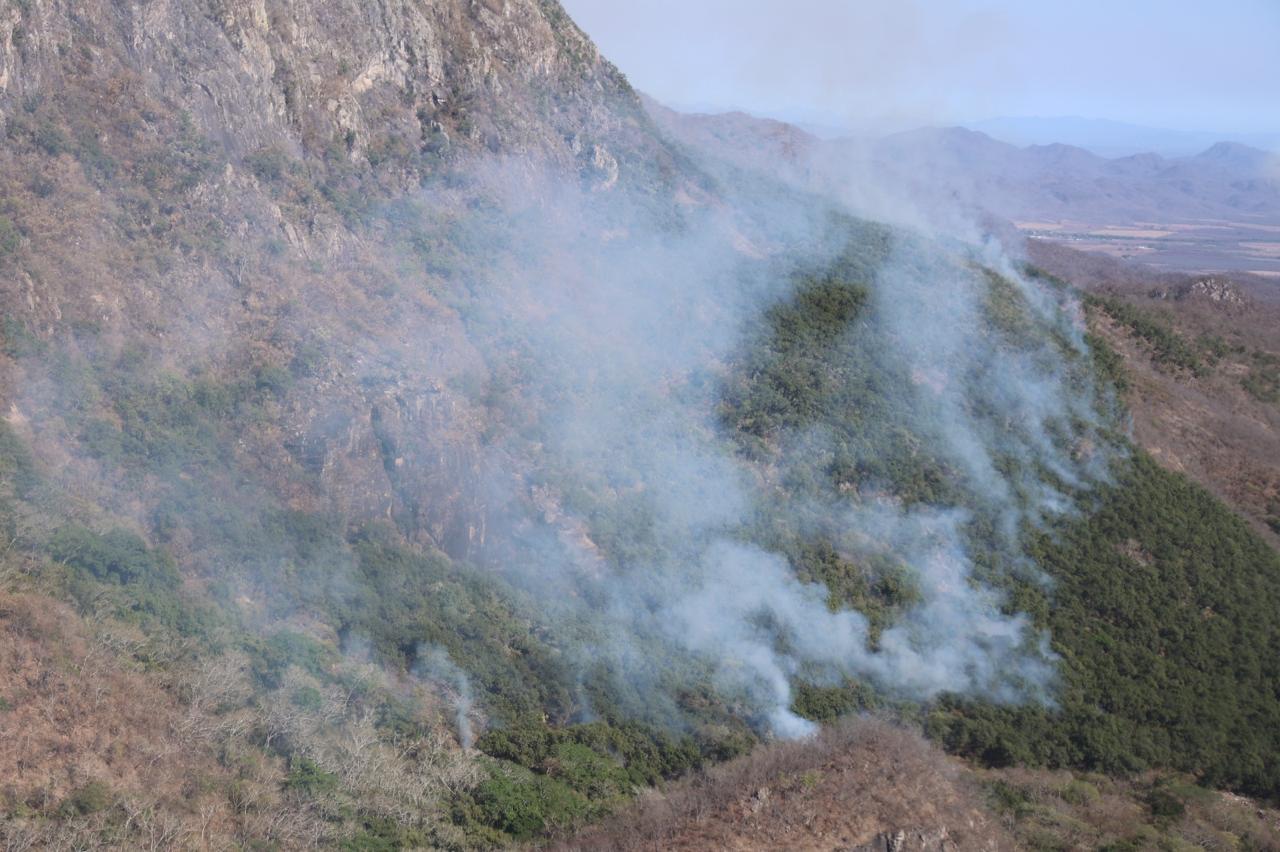 Incendio en la sierra de Tacuichamona