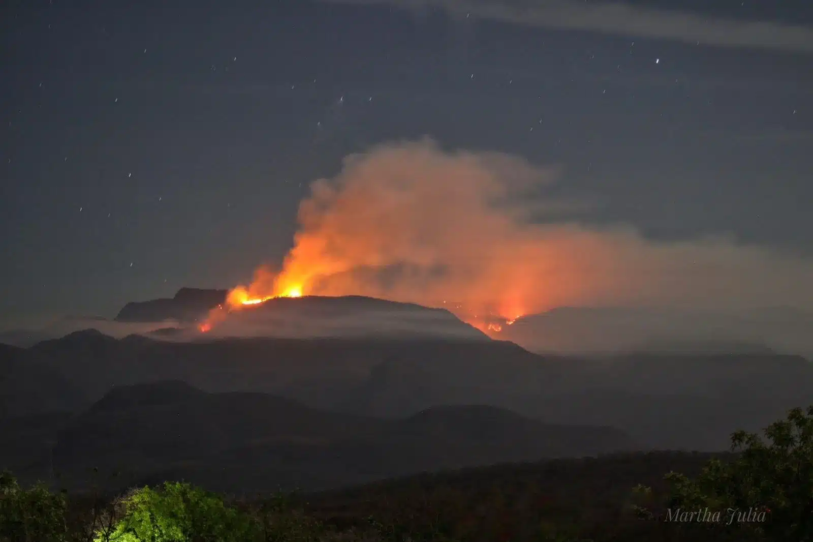 Incendio forestal en Sinaloa