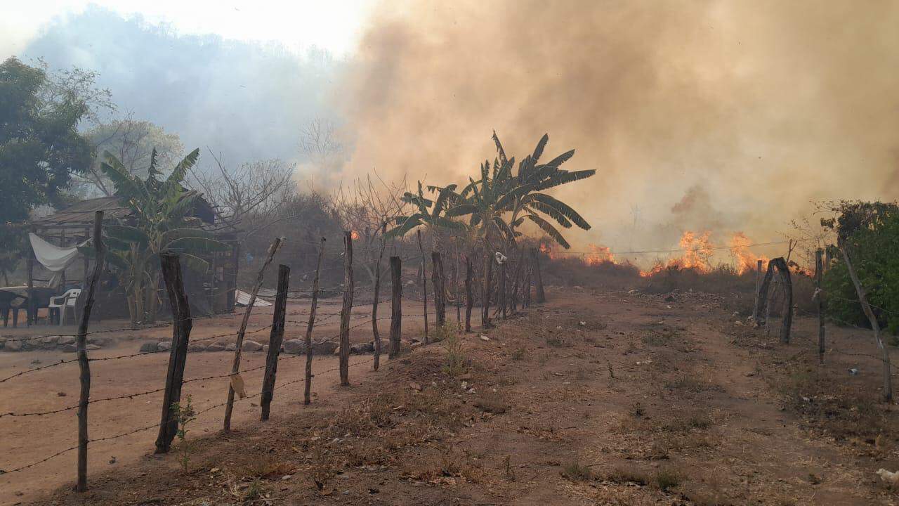 Incendio forestal en Sinaloa