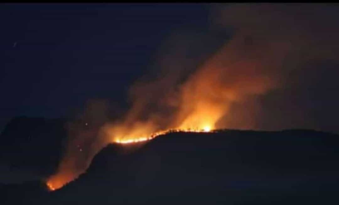 Incendio forestal en Sinaloa