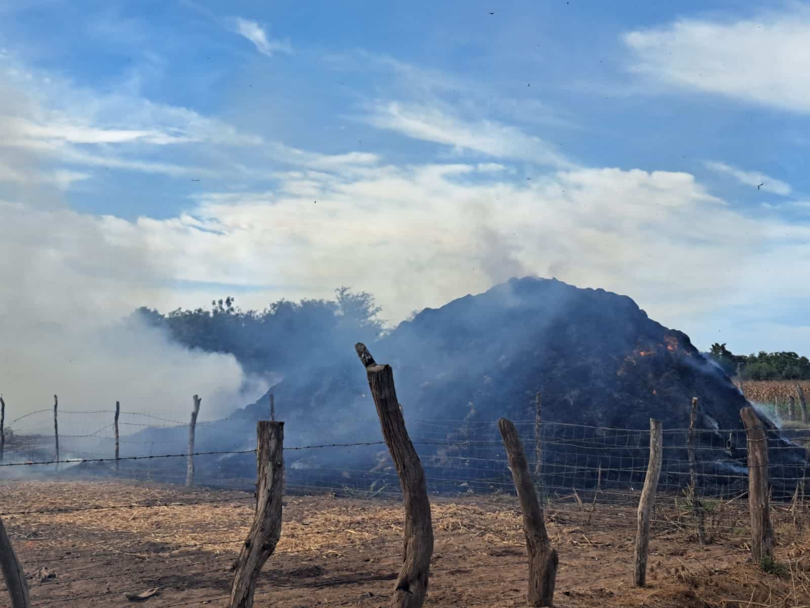 Pacas incendiadas