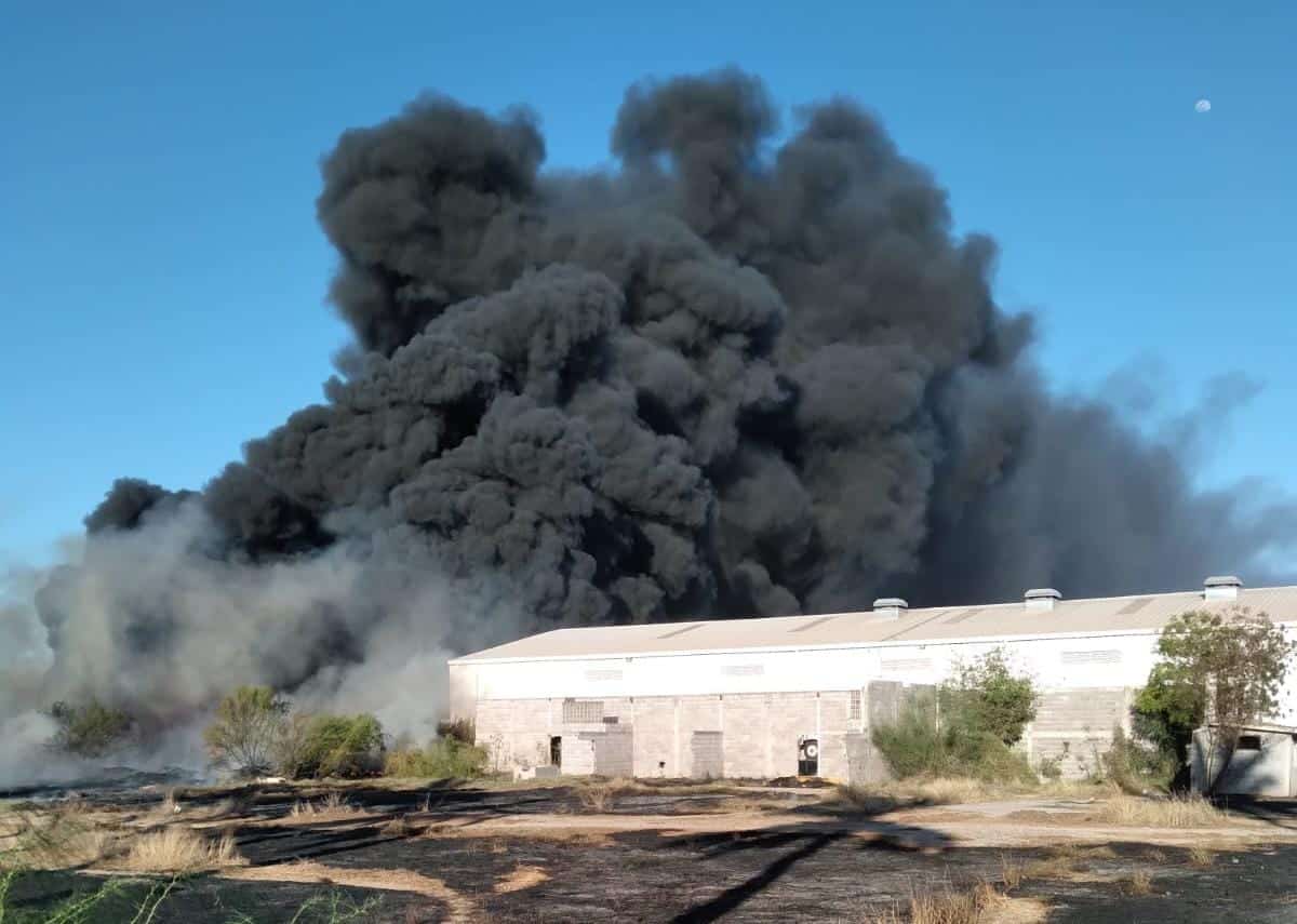 Incendio en un empaque de la sindicatura de Adolfo Ruiz Cortines, Guasave