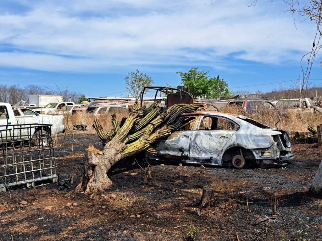 El incendio arrasó con 10 vehículos de la pensión.