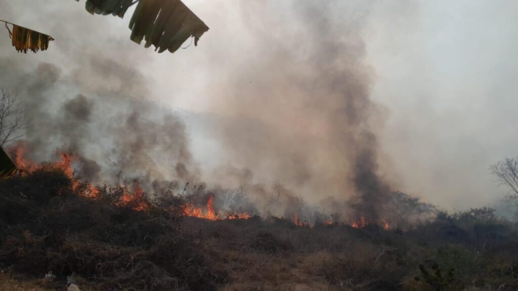 Incendio forestal en un campo de Sinaloa
