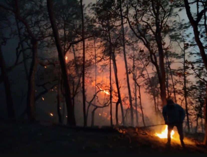 Incendios en Sinaloa