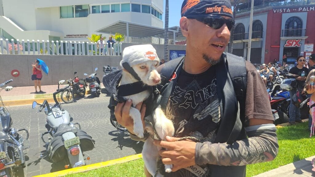 Hombre carga a su perro mascota