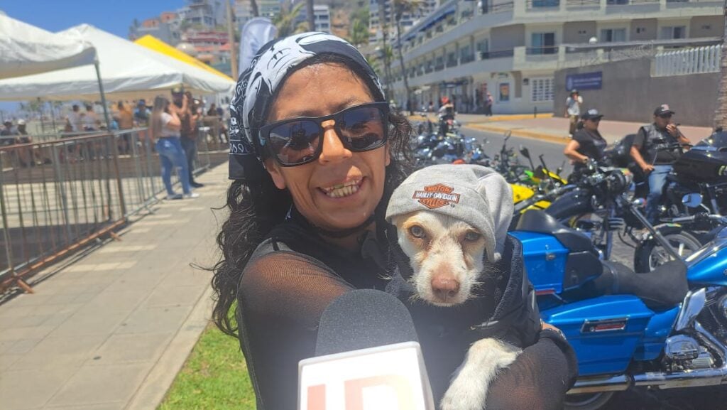 Mujer enseña a su mascota Mondongo