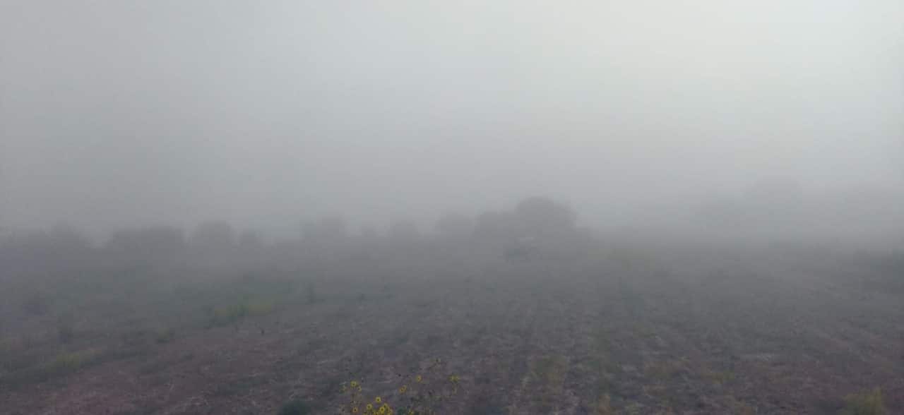 Niebla en Sinaloa
