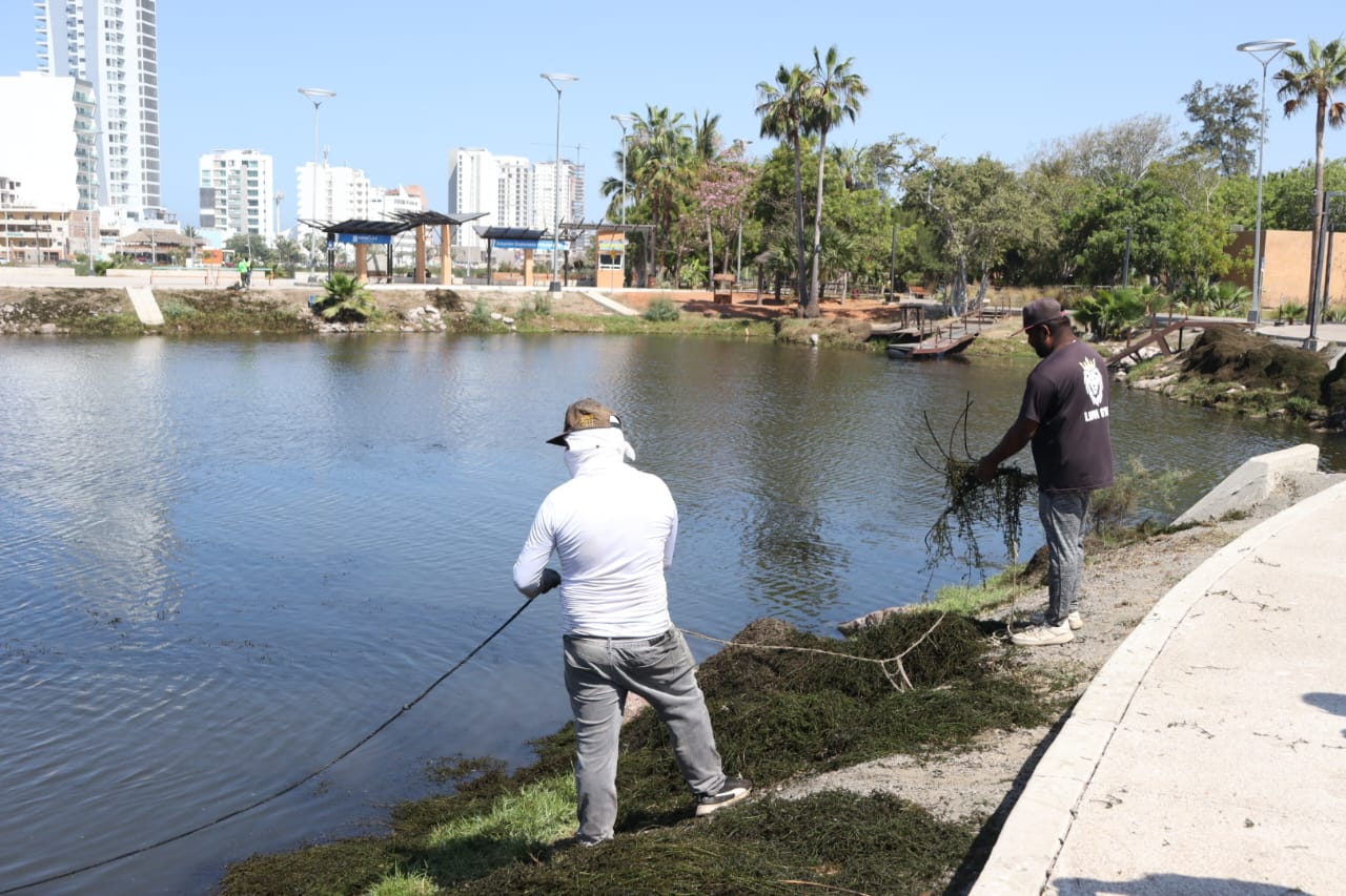 Lago del parque en Mazatlán