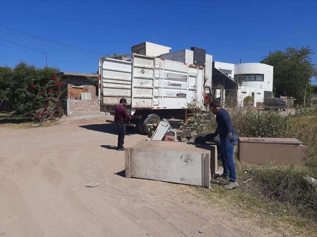 Recolección de cacharro en Guasave