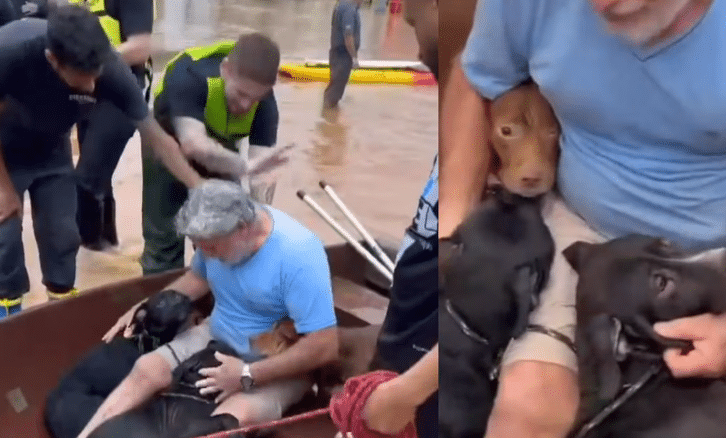Hombre rescata a sus 4 perros durante inundaciones en Brasil