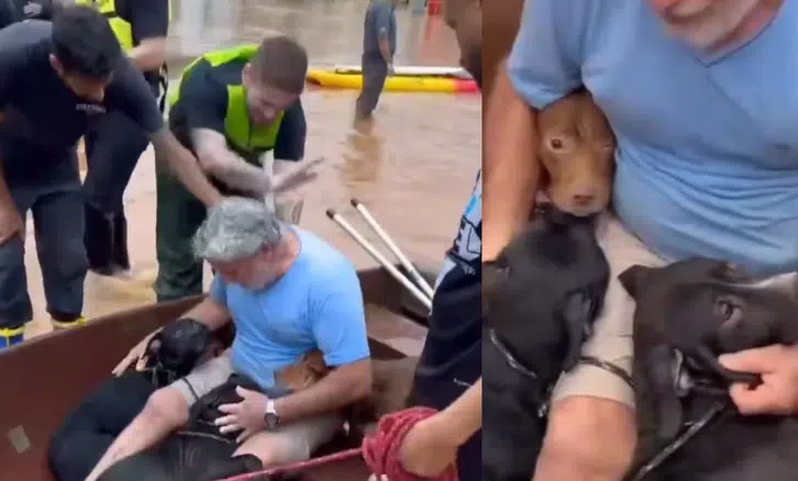 Hombre rescata a sus 4 perros durante inundaciones en Brasil