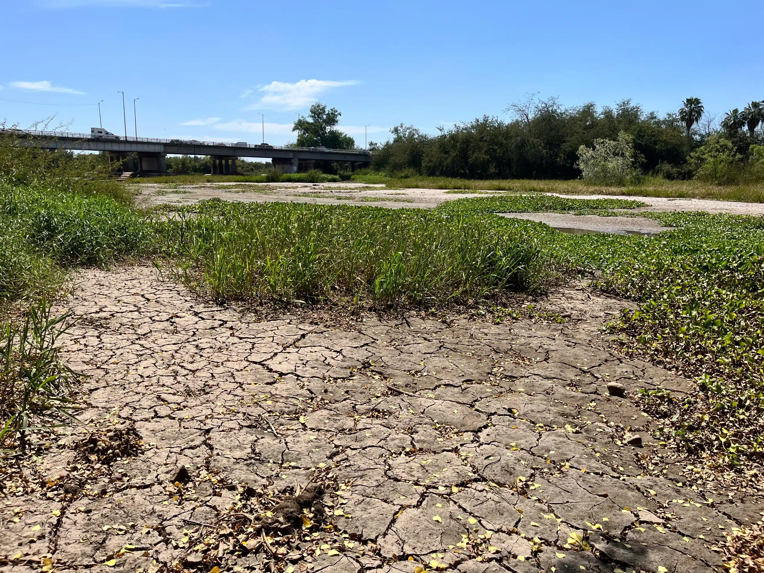 Tierra cuarteada en donde solía haber agua de un río en Culiacán
