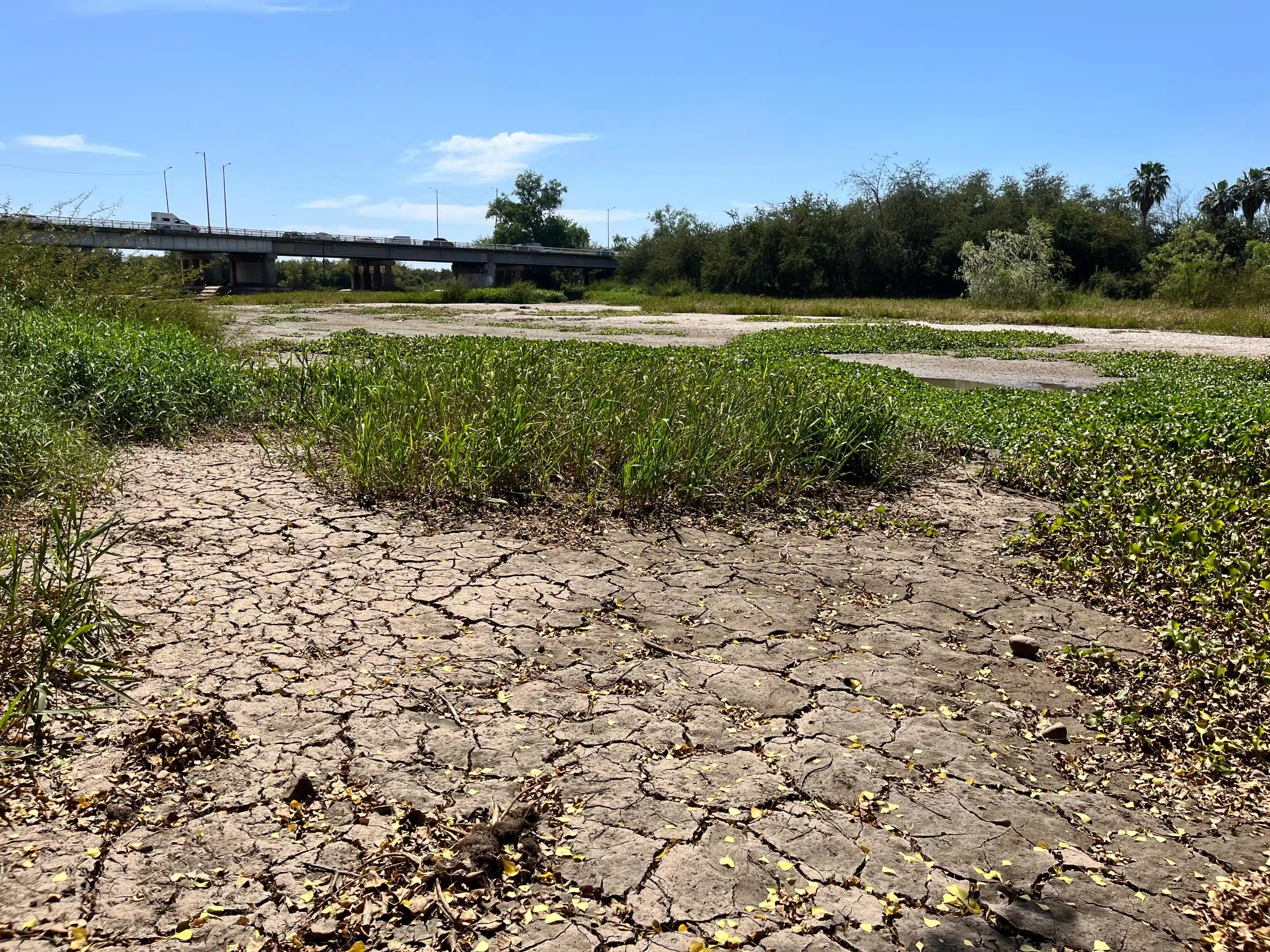 sequía extrema en Sinaloa