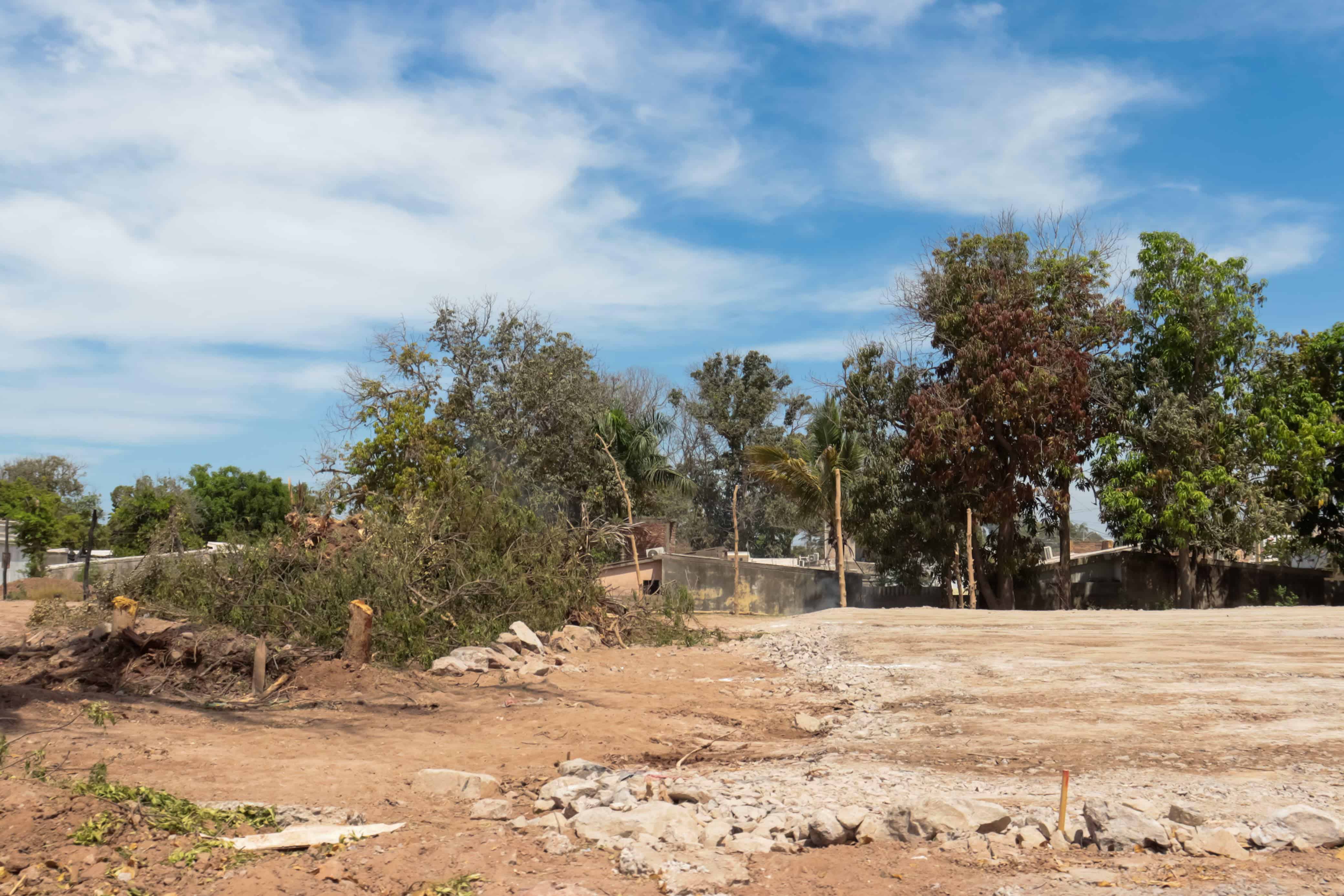 Tala de árboles en el canal que corre paralelo a la colonia 12 de octubre, donde una empresa realiza una obra de construcción.