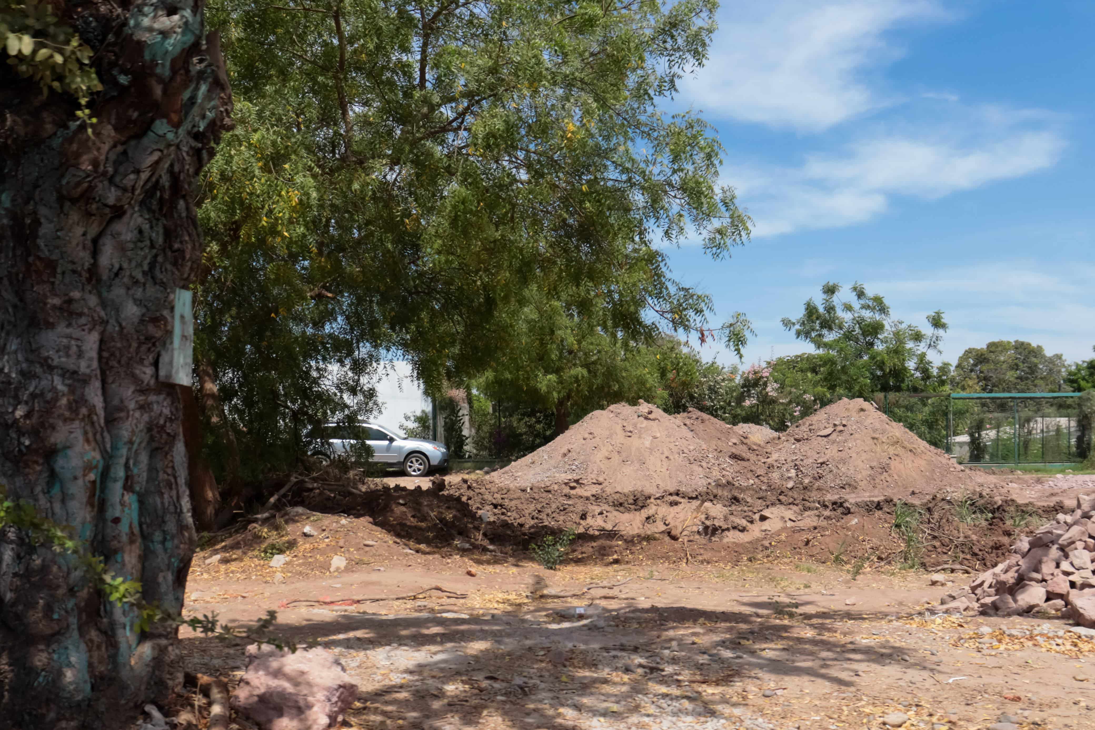 Tala de árboles en el canal que corre paralelo a la colonia 12 de octubre, donde una empresa realiza una obra de construcción.