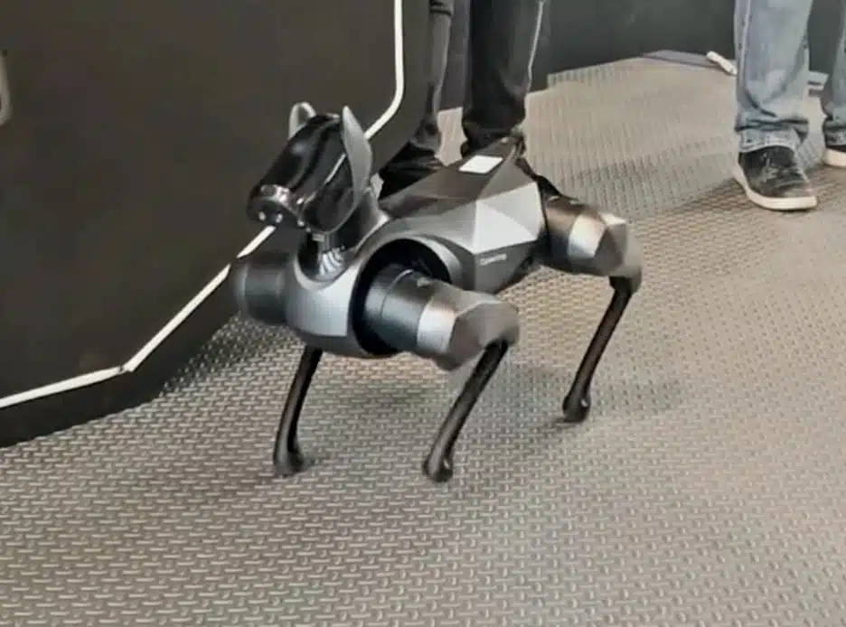 Es un perro robot con inteligencia artificial integrada, es capaz de simular que come y hasta da la patita.
